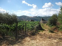 gale-20120725 116